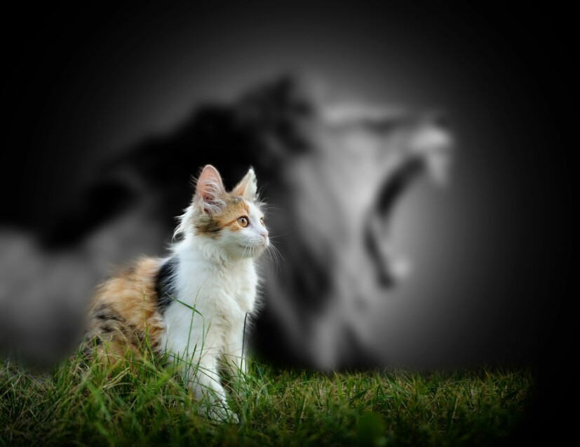 10 Quiet Ways Introverts Are Changing the World