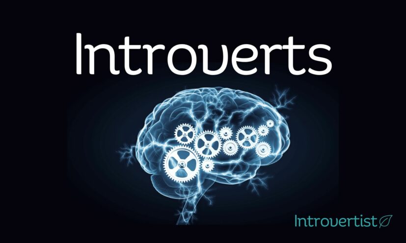 Introverts Are Wired Different: 10 Surprising Science Facts