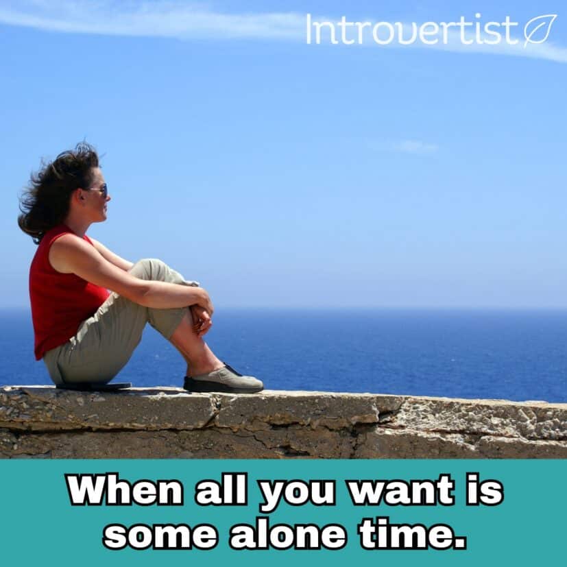 Introvert Meme